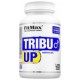 FitMax TribuUp 60 kaps.